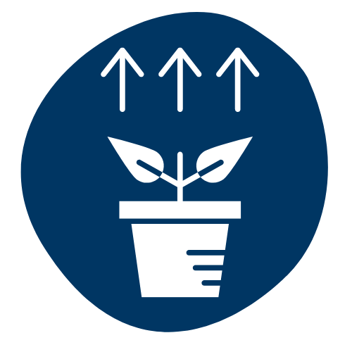 lmnp statut: "Statut LMNP expliqué"