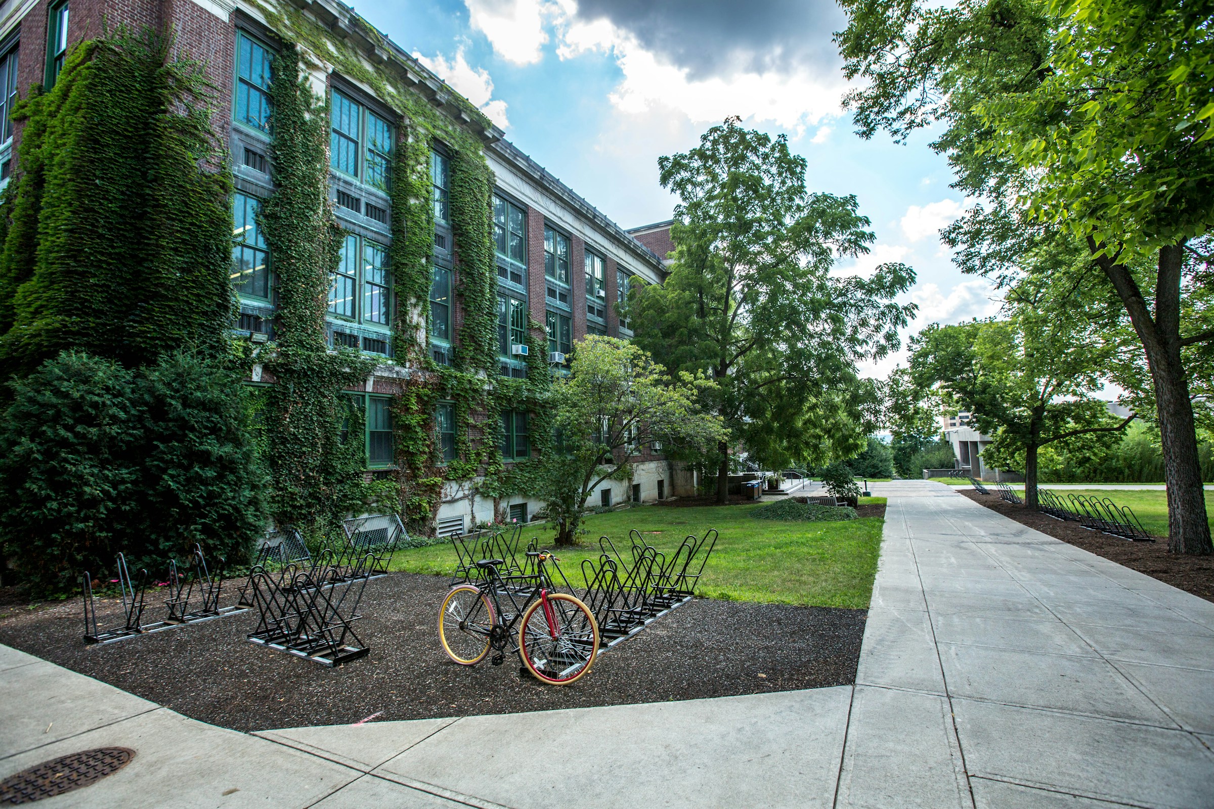 Campus universitaire arboré avec stationnements vélo, un environnement parfait pour un investissement LMNP 2025.
